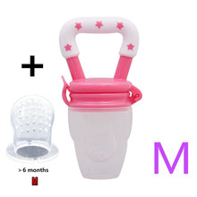 Load image into Gallery viewer, Fresh Food Nibbler Baby  Bottles